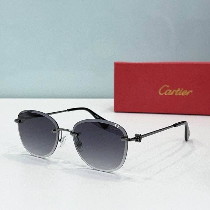 CTR Sunglasses AAA-498