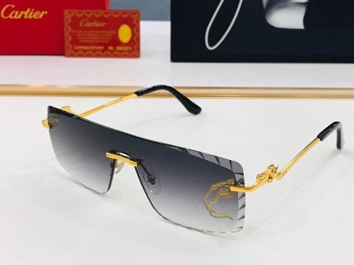 CTR Sunglasses AAA-499