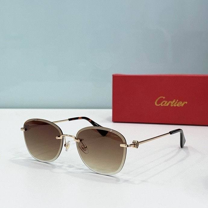 CTR Sunglasses AAA-498