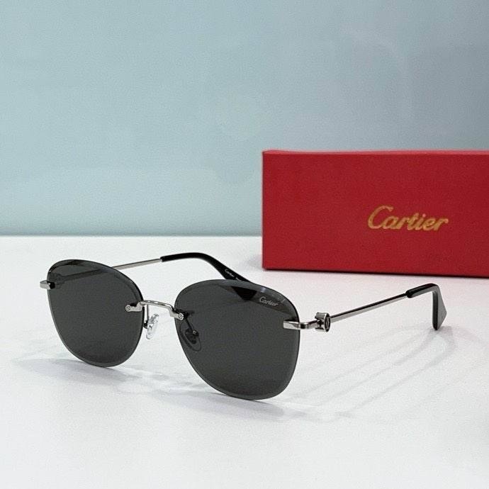 CTR Sunglasses AAA-498