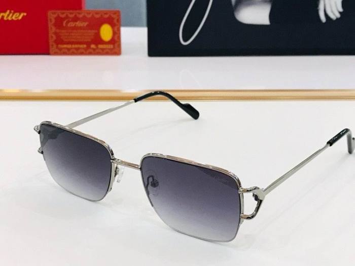 CTR Sunglasses AAA-500