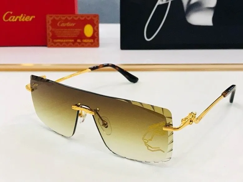 CTR Sunglasses AAA-499