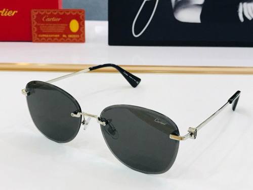 CTR Sunglasses AAA-502