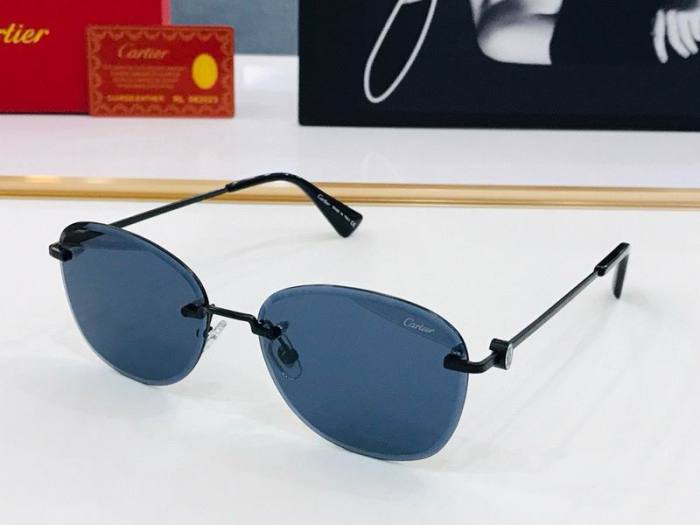 CTR Sunglasses AAA-502