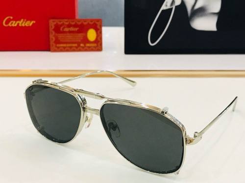 CTR Sunglasses AAA-504