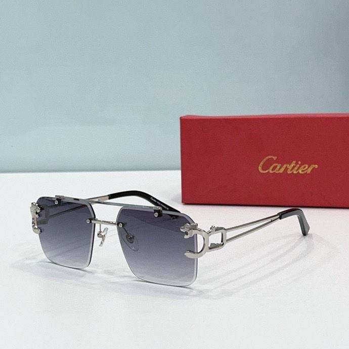 CTR Sunglasses AAA-524