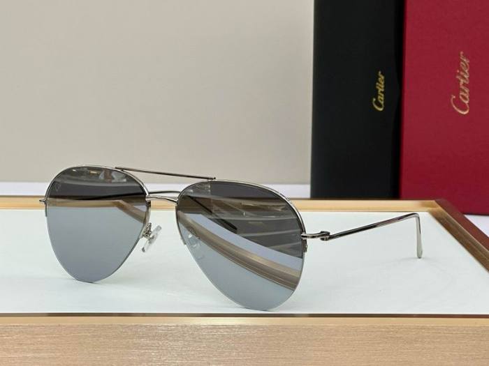 CTR Sunglasses AAA-546