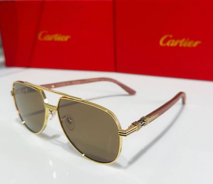 CTR Sunglasses AAA-523