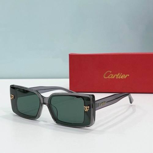 CTR Sunglasses AAA-525