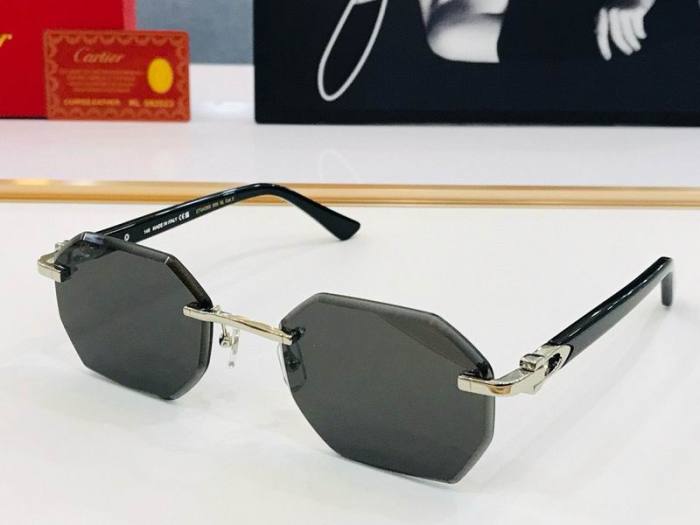 CTR Sunglasses AAA-518