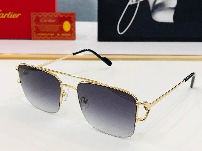 CTR Sunglasses AAA-501