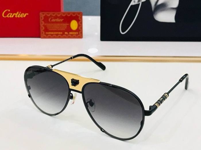 CTR Sunglasses AAA-507