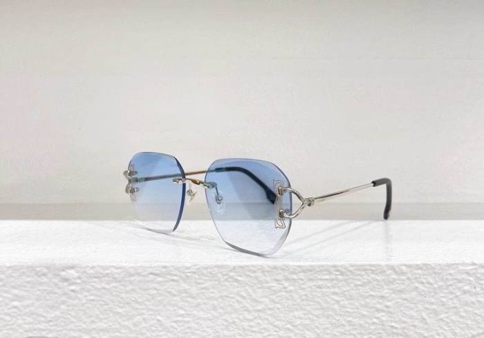 CTR Sunglasses AAA-527