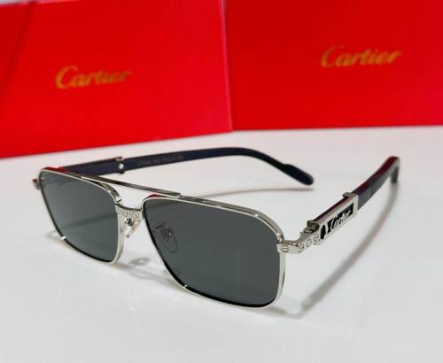 CTR Sunglasses AAA-522