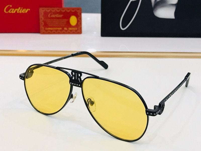 CTR Sunglasses AAA-505