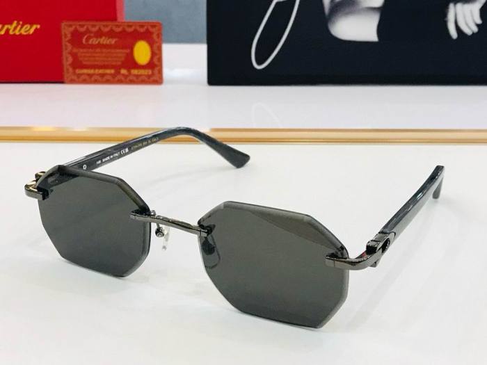 CTR Sunglasses AAA-518