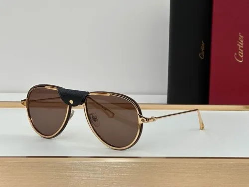 CTR Sunglasses AAA-538