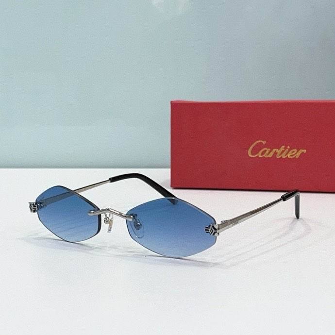 CTR Sunglasses AAA-536