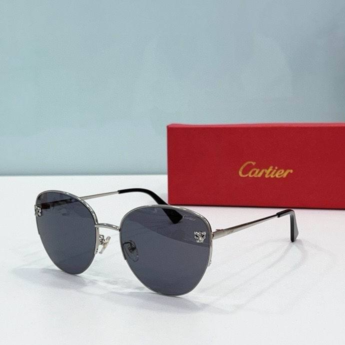 CTR Sunglasses AAA-534