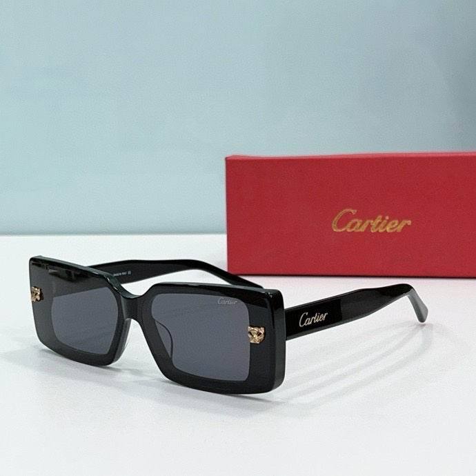 CTR Sunglasses AAA-525