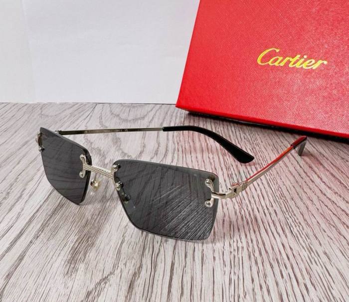 CTR Sunglasses AAA-530