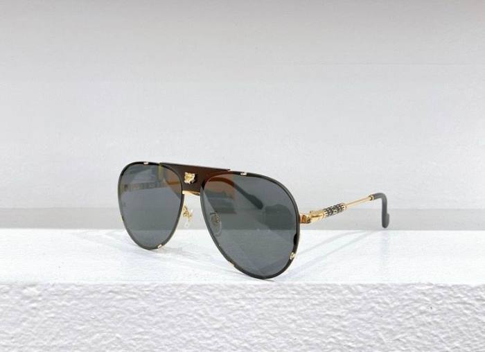 CTR Sunglasses AAA-529