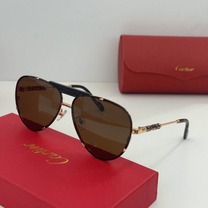 CTR Sunglasses AAA-520