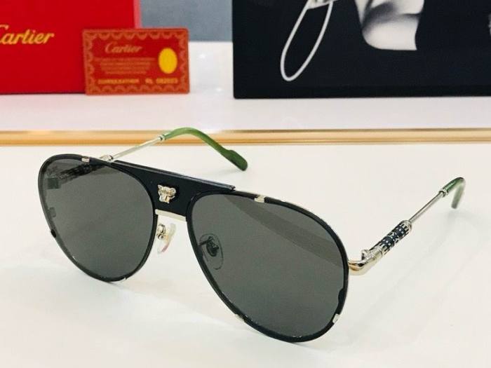 CTR Sunglasses AAA-507