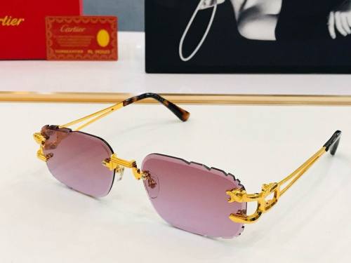 CTR Sunglasses AAA-503