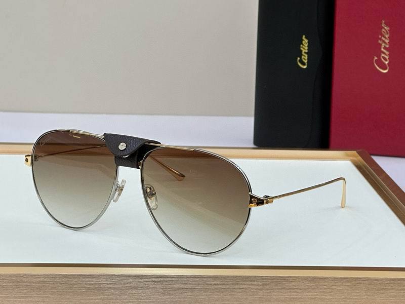 CTR Sunglasses AAA-541