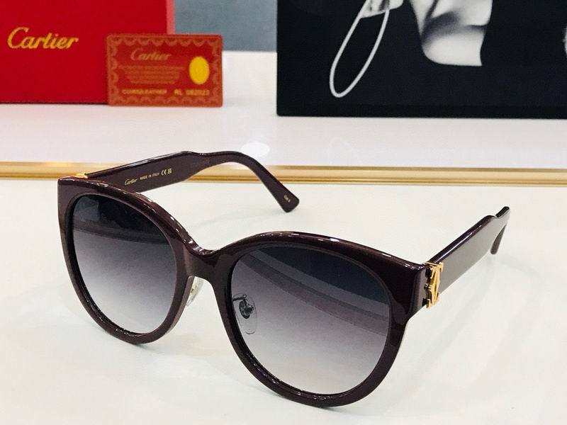 CTR Sunglasses AAA-511