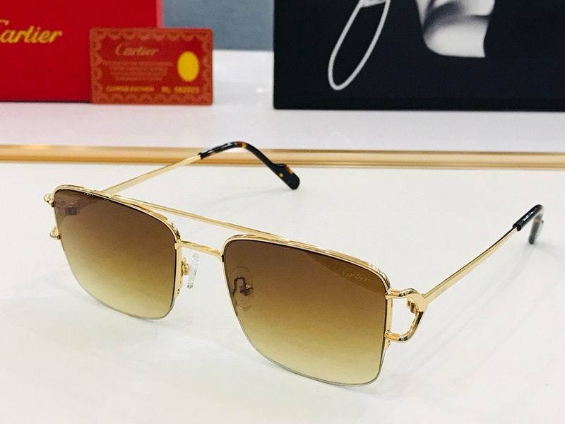 CTR Sunglasses AAA-501