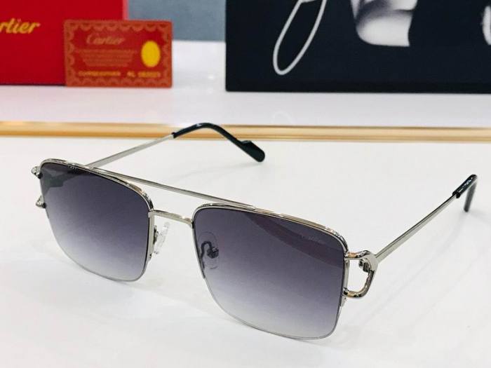 CTR Sunglasses AAA-501