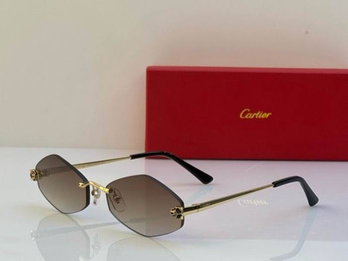 CTR Sunglasses AAA-540