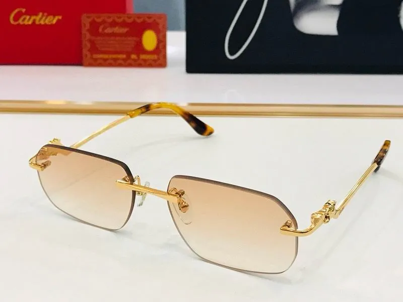 CTR Sunglasses AAA-517