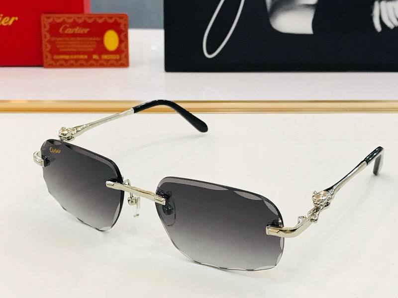 CTR Sunglasses AAA-510