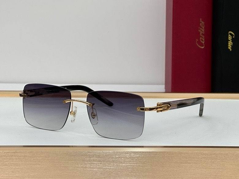 CTR Sunglasses AAA-543