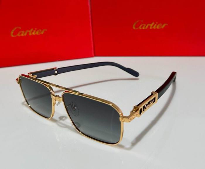 CTR Sunglasses AAA-522