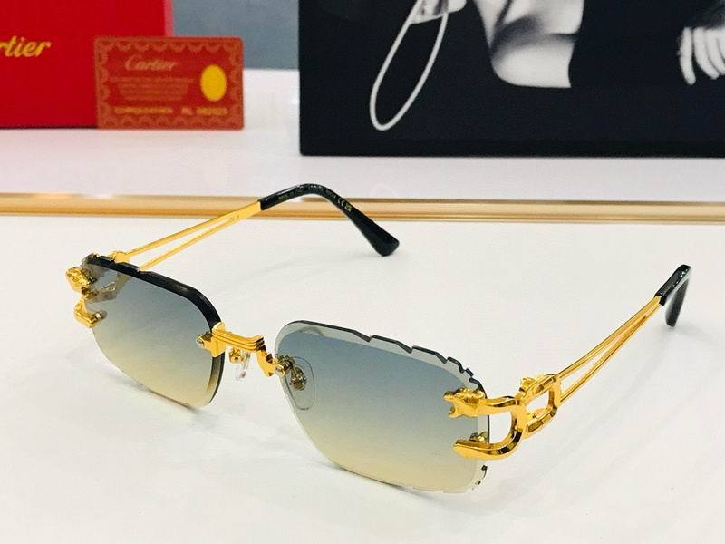 CTR Sunglasses AAA-503