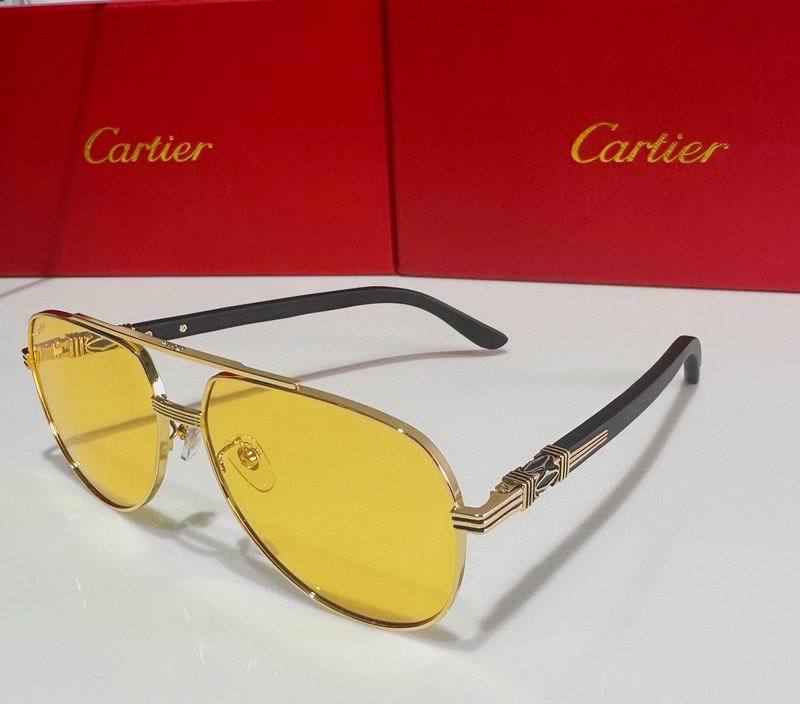 CTR Sunglasses AAA-523