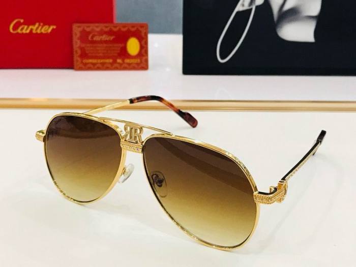 CTR Sunglasses AAA-505