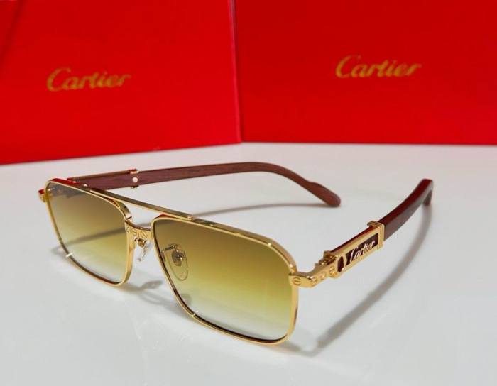 CTR Sunglasses AAA-522