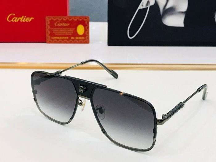 CTR Sunglasses AAA-508