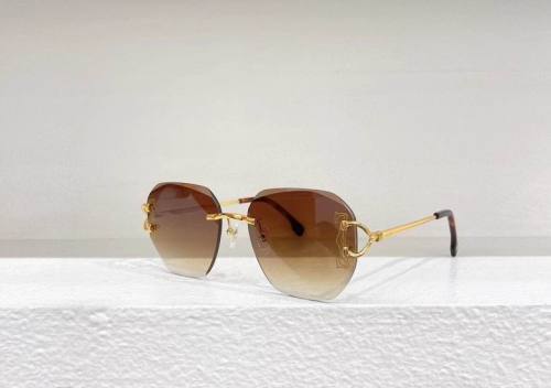 CTR Sunglasses AAA-527