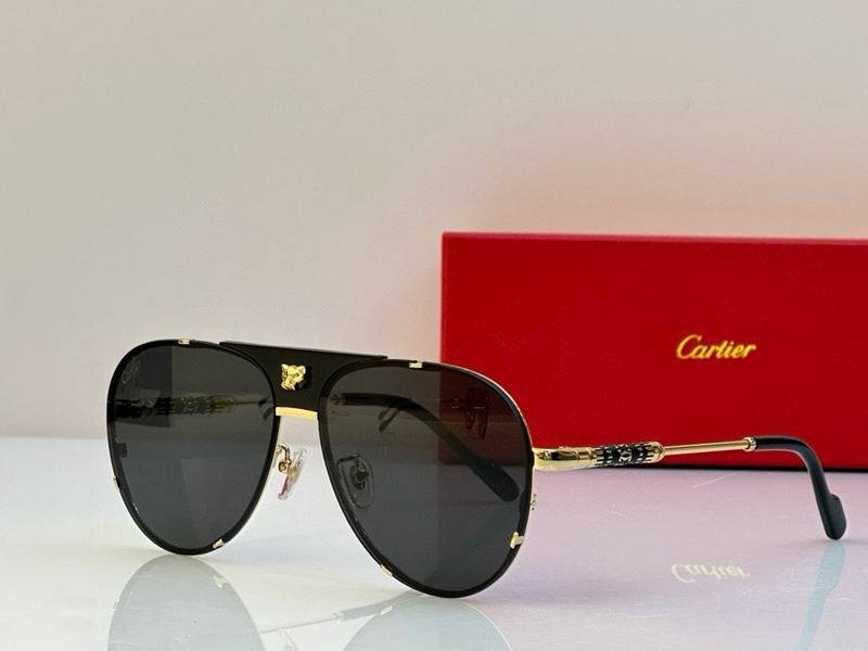 CTR Sunglasses AAA-556