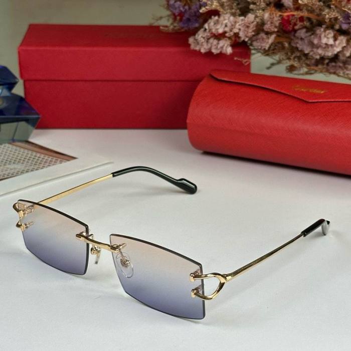 CTR Sunglasses AAA-563