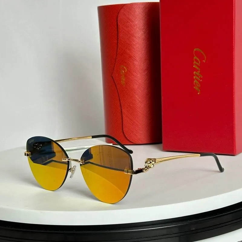 CTR Sunglasses AAA-562