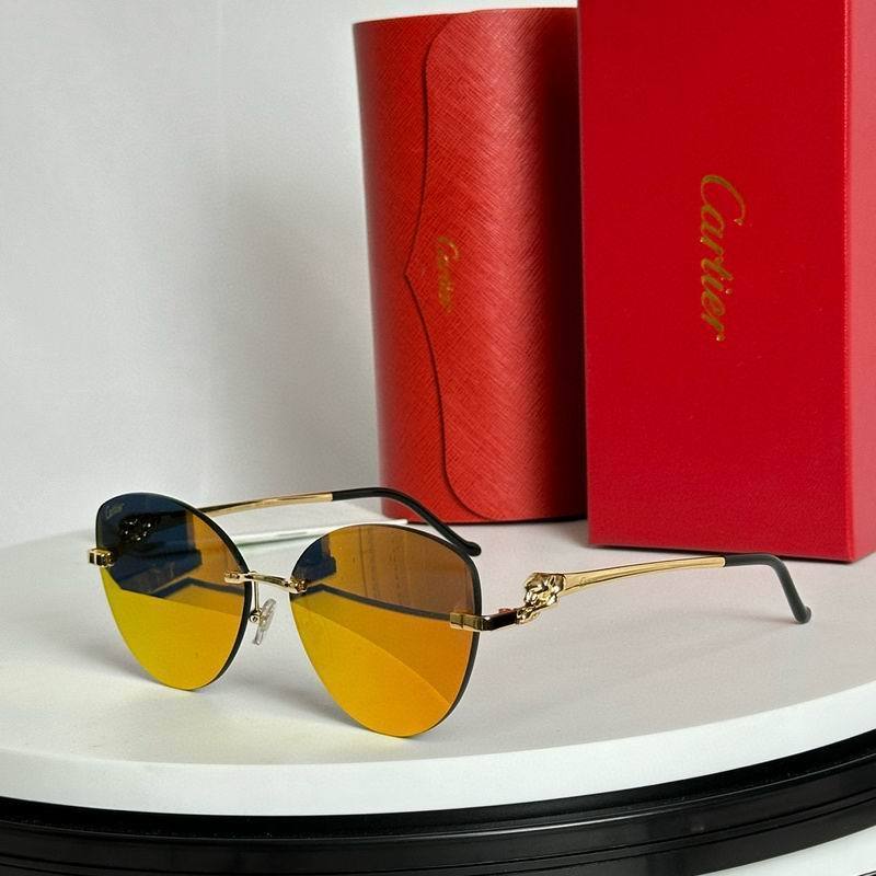 CTR Sunglasses AAA-562