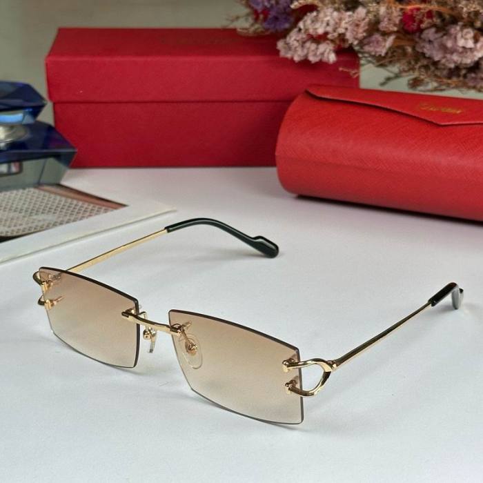 CTR Sunglasses AAA-563