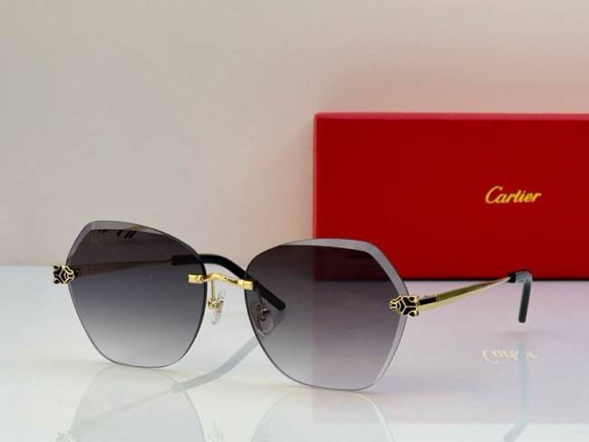 CTR Sunglasses AAA-549